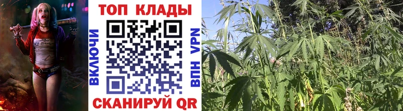 Купить СОЛЬ АМФ Гашиш Каннабис Мефедрон Кирсанов