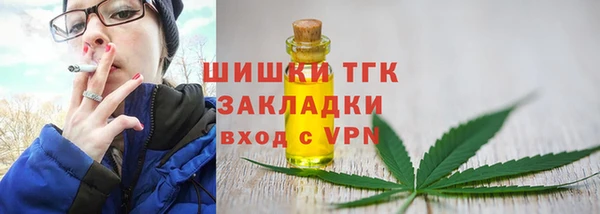 прущий лед Рославль