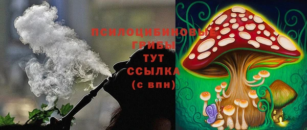 ГАЛЛЮЦИНОГЕННЫЕ ГРИБЫ Ростов