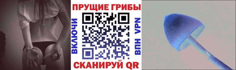 Галлюциногенные грибы мухоморы Купить закладки Кирсанов